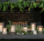 Riverstone Menorah