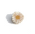 Mini Daisy Claw Hair Clip