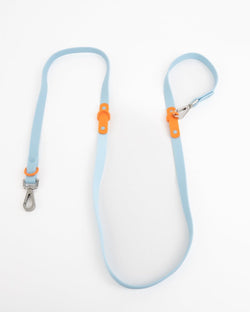 The Fritz Leash