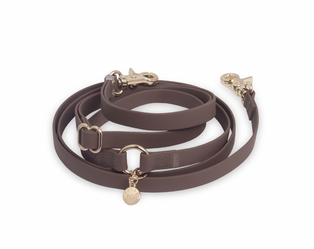 Convertible Hands Free Cloud Dog Leash