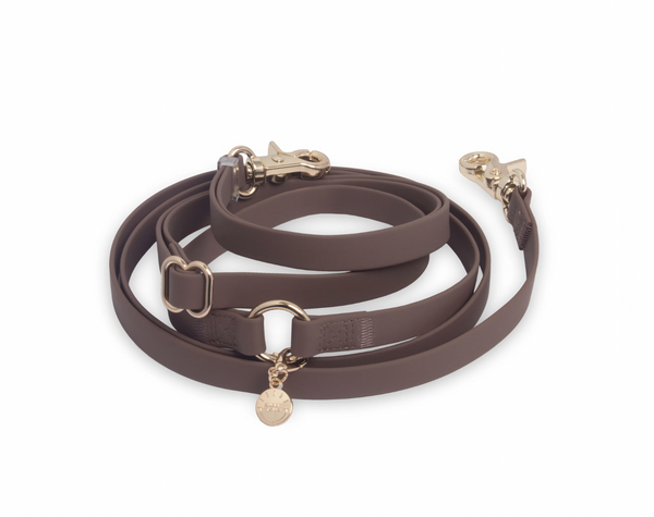 Convertible Hands Free Cloud Dog Leash