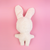 Small Bunny Plush Dog Toy