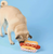 Hot Dog Interactive Snuffle Dog Toy