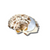 Seashell Compact Mirror