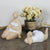 Ceramic Sitting Sunbathing Lady