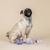 High Tides Good Vibes Canvas Dog Toy