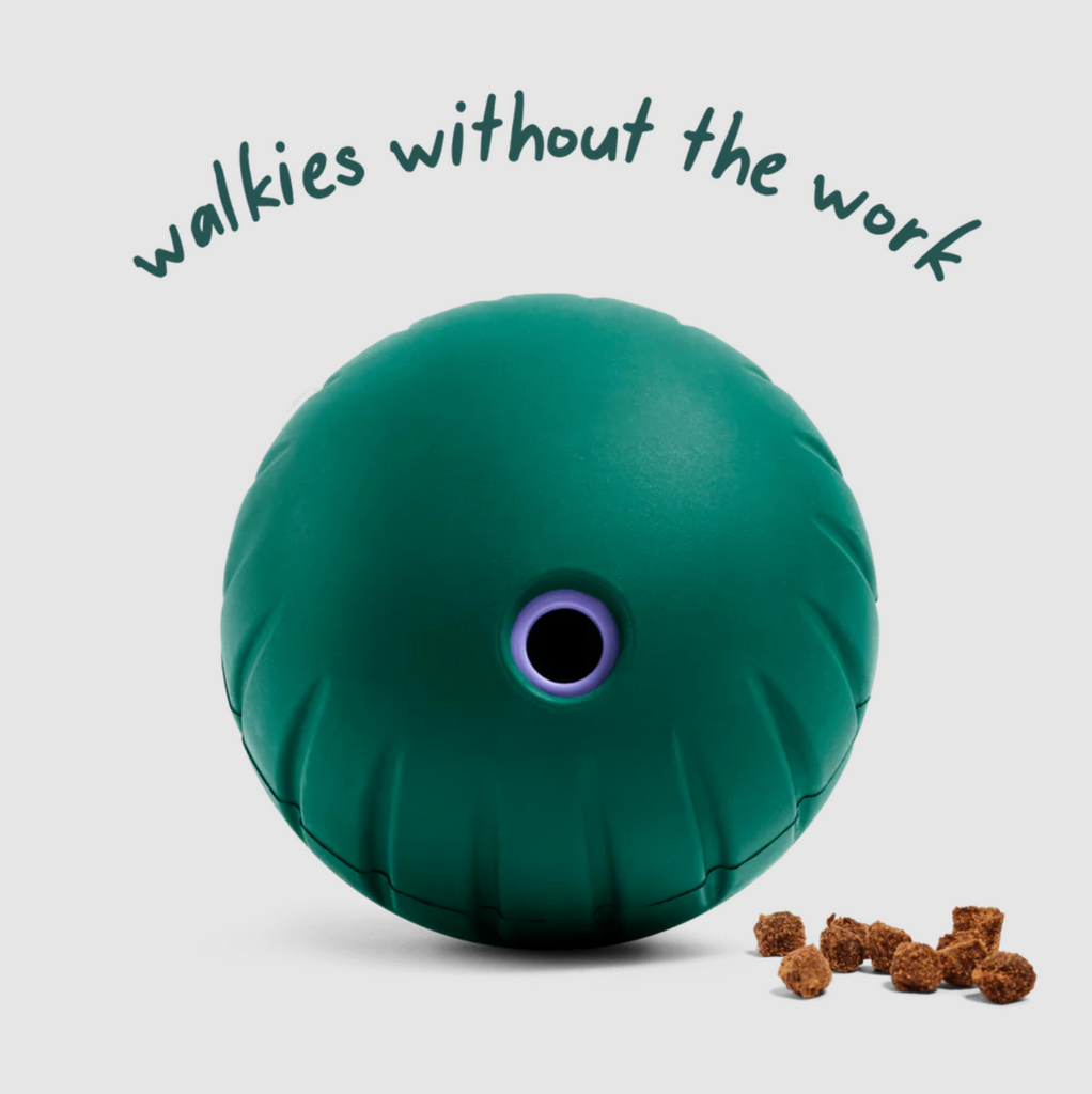 Walkabout Dog Toy - Large