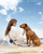 Cloud Lite Dog Harness