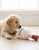 Pickleball Paddle Squeaker Dog Toy