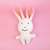 Small Bunny Plush Dog Toy