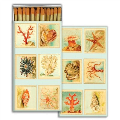 Mollusk & Coral Matchbox