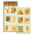 Mollusk & Coral Matchbox