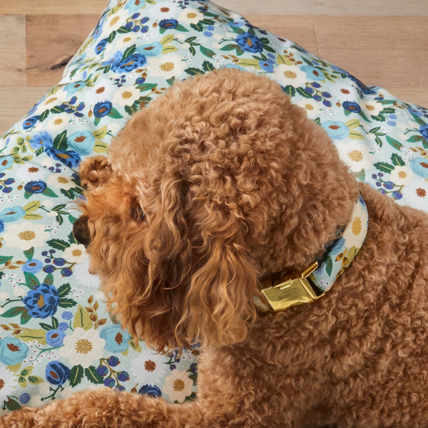 Rifle Paper Co. x TFD Vintage Blossom Dog Collar