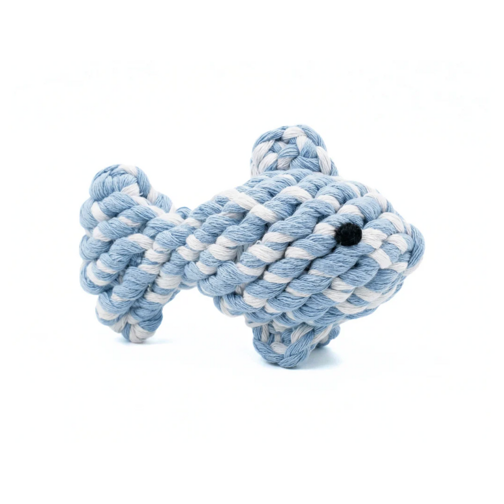 April The Happy Fish Rope Dog Toy