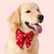 Gingerbread Man Embroidered Lady Dog Bow