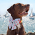 Anchor Embroidered Lady Dog Bow