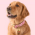 Foggy Dog Red Gingham Dog Collar