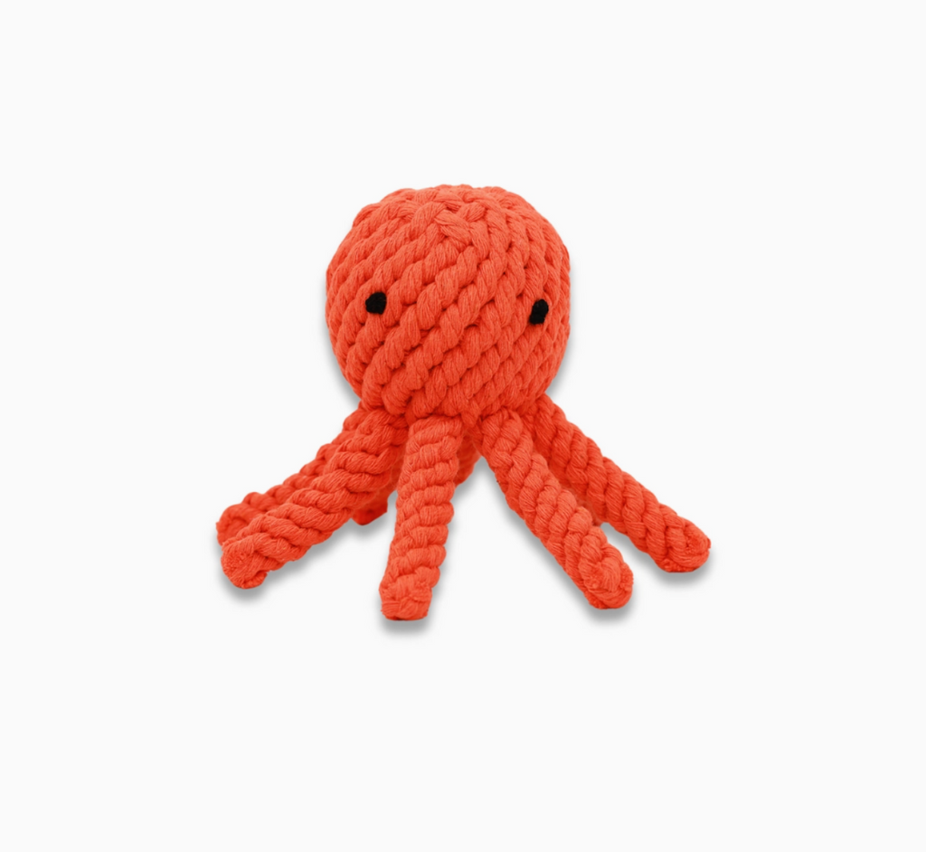 Octopus Rope Dog Toy - Small