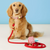 Foggy Dog Red Gingham Waste Bag Holder