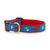 Ribbon Dog Collar - Narrow