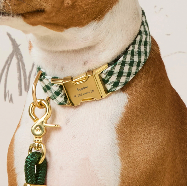Evergreen Gingham Dog Collar