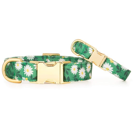 Blue Roses Dog Collar – The Foggy Dog