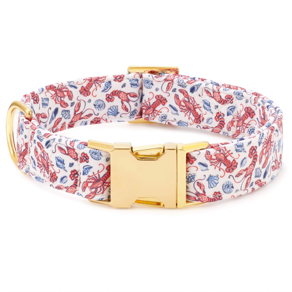 Paintfresh x TFD Lobster Landing Dog Collar