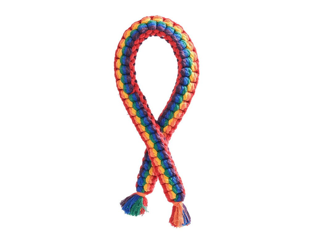 Rainbow Rope Dog Toy