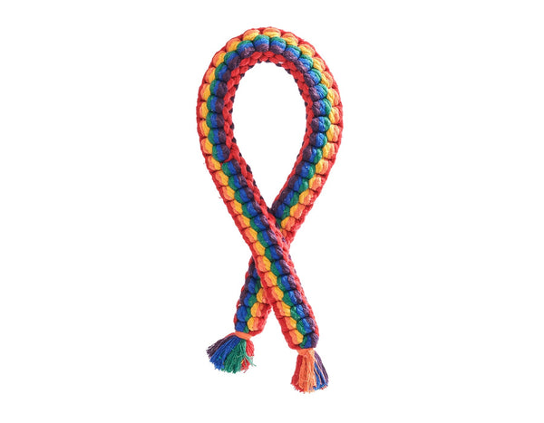 Rainbow Rope Dog Toy