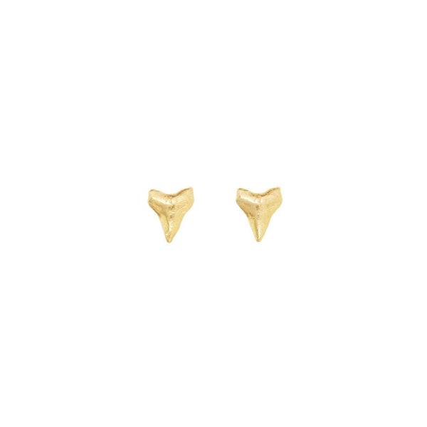 Catherine Weitzman Mini Shark Tooth Studs - Gold
