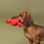 Snappy & Happy Latex Lobster Dog Toy