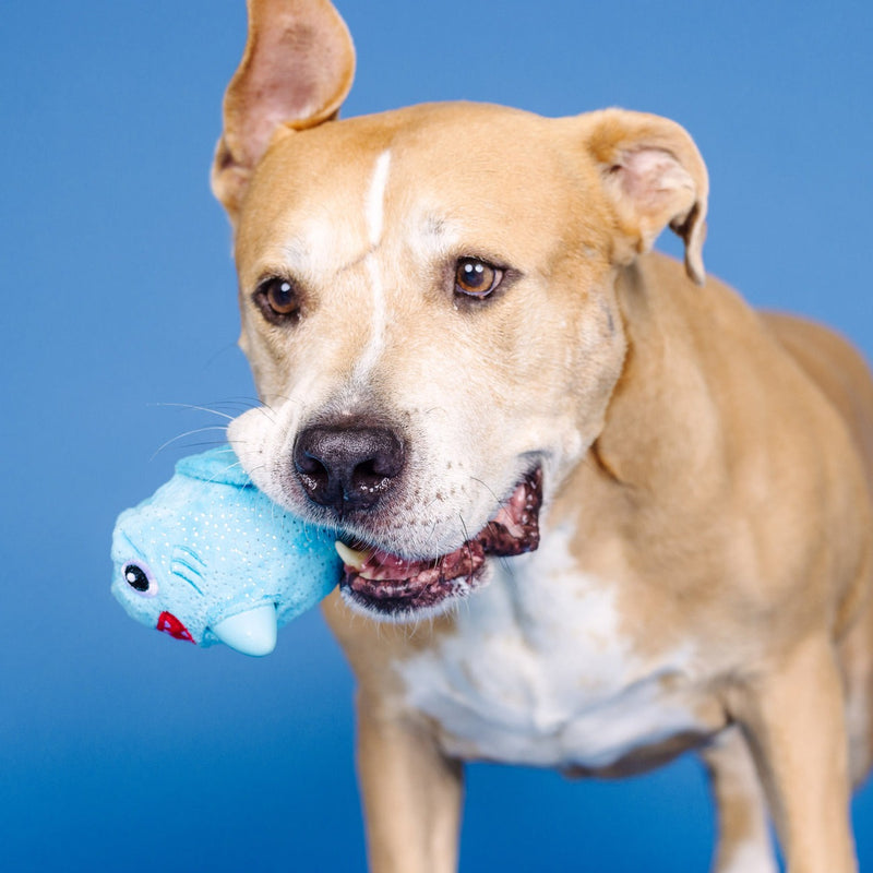 Out Of The Blue Plush/Rubber Dog Toy
