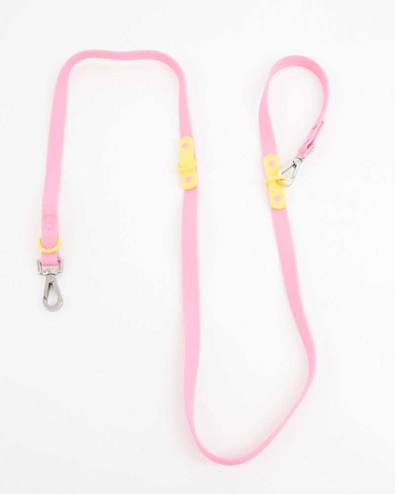 The Fritz Leash