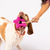 Pullin Posies Felt Wool Dog Toy