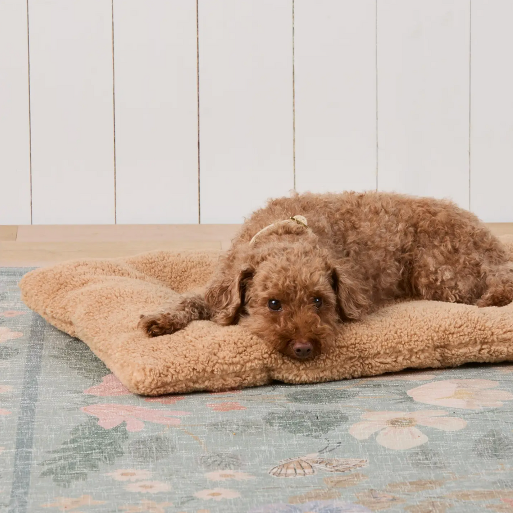 Latte Recycled Sherpa Dog Travel Mat - Medium