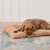 Latte Recycled Sherpa Dog Travel Mat - Large
