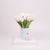 Tulip Ever After Diffuser - Blue Jay Edition