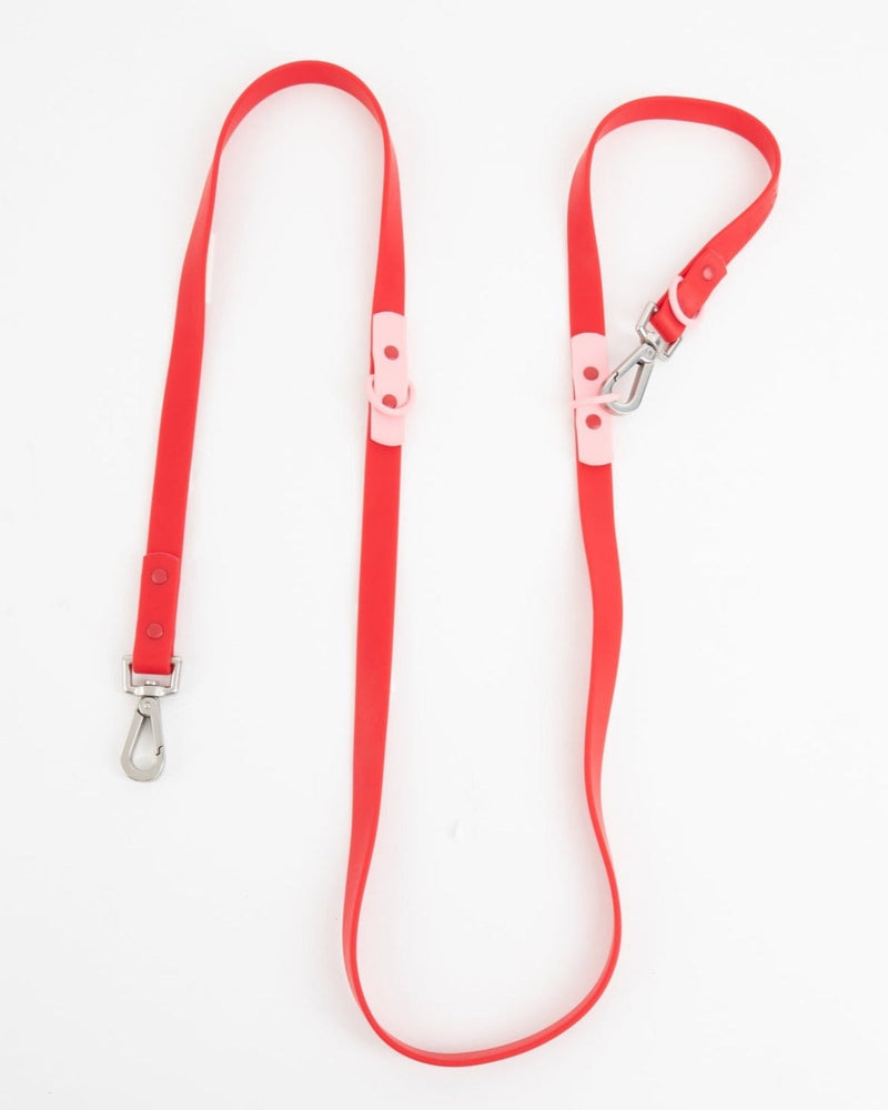 The Fritz Leash