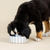 Rounded Scallop Powder Blue Dog Bowl - Medium