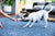 Jax & Bones 7" Lifesaver Rope Dog Toy