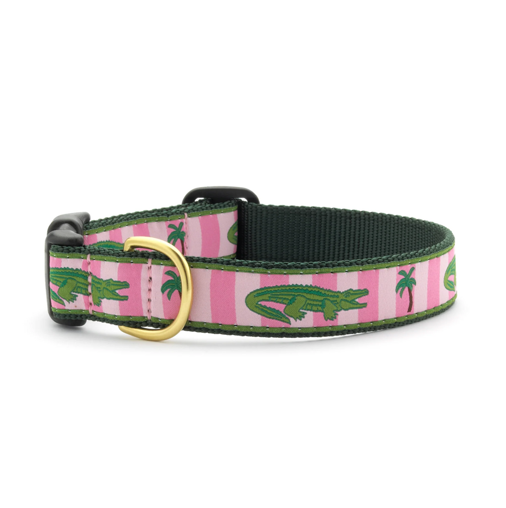 Ribbon Dog Collar - Wide