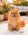 Apawrol Spritz Squeaker Toy