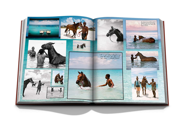 Polo Heritage Book